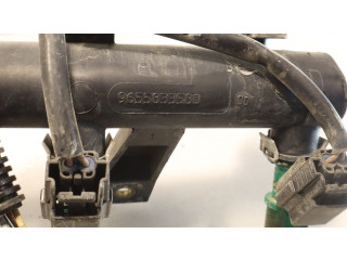 Топливная рампа    Citroen C3  