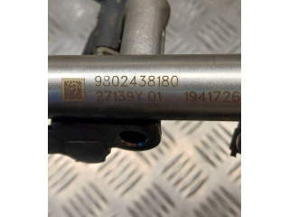 Vstřikovací lišta 9802438180, 1715495496 Citroen C3 Picasso HN01