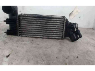 Интеркулер 384F3, 384F3 Peugeot 607