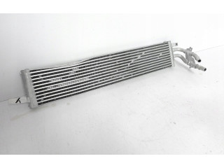 Интеркулер  62136386, 25202626   BMW X3 G01 