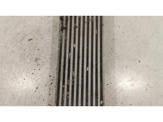 Интеркулер  1489396080   Citroen C8 2.2