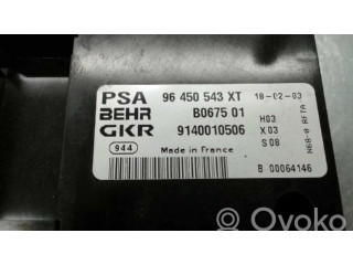 Блок управления климат-контролем B067501, 1000000767537 Citroen Xsara Picasso