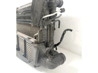 Pojistková skříňka Комплект радиатора A0995002703, A0995006203 Mercedes-Benz C W204 2011