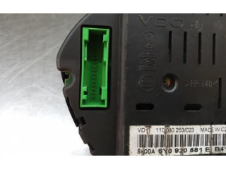 Панель приборов 110080253023, 6Y0920881E Skoda Fabia Mk2 (5J)