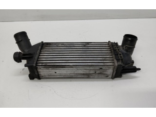 Интеркулер 384K8, 384K8 Citroen C5