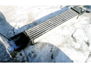 Интеркулер Fiat Grande Punto 1.3