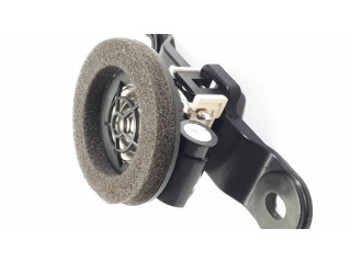 Громкоговоритель (громкоговорители) в задних дверях