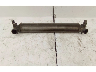 Интеркулер W0225002 Skoda Roomster (5J)