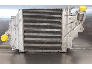 Интеркулер 131302020181 Renault Clio II