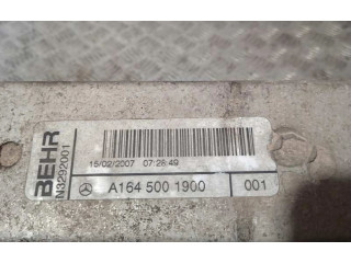 Интеркулер A1645001900 Mercedes-Benz R W251