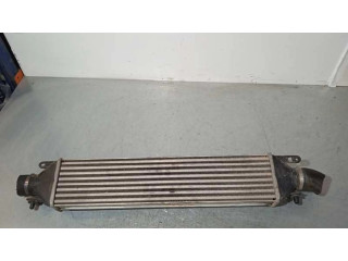 Интеркулер Fiat Grande Punto 1.9