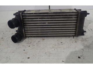 Интеркулер  00000384N9   Peugeot 5008 