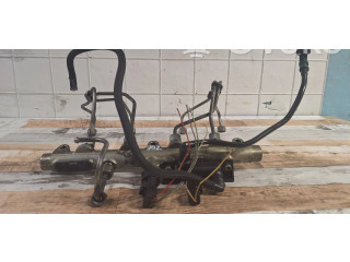 Vstřikovací lišta 0445214017, 004386L3 Peugeot 607