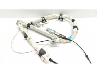 Боковая подушка безопасности EX2006060139, AA084F Ford Focus