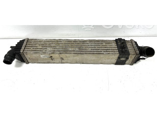 Интеркулер  144960001RG, 144960001R   Renault Laguna III 2.0