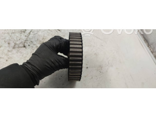 Комплект системы впрыска топлива 028130111a    Audi A4 S4 B5 8D   