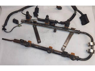 Топливная рампа 4612217   Lexus RX 300  