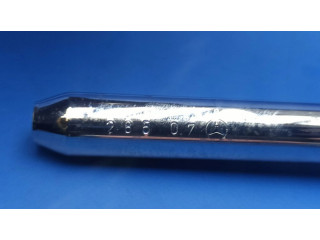 Galinės sėdynės galvos atrama