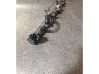 Топливная рампа 03P089, 0029900   Skoda Fabia Mk2 (5J)  