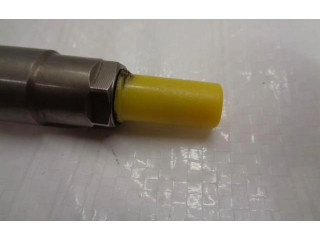 Комплект жиклеров (форсунок) 0445110566   Peugeot 308    