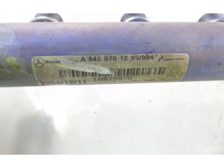 Топливная рампа A6400701295   Mercedes-Benz A W169  