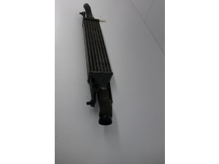 Интеркулер     Fiat Grande Punto 