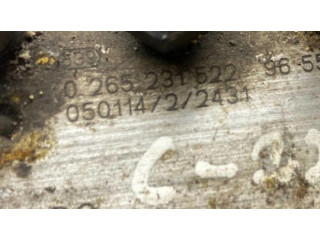 Jednotka ABS 0265800415, 58107M0519 Citroen Berlingo 2007