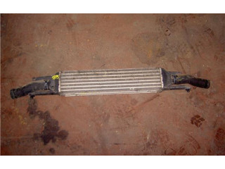 Интеркулер 0051785221 Fiat Linea