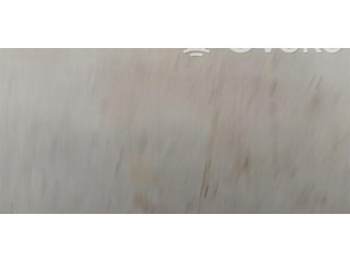 Масляный насос     Audi A6 S6 C6 4F 