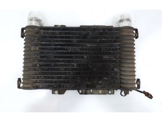 Интеркулер 1271000421, MD158600 Mitsubishi L200