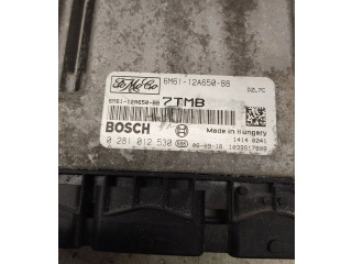 Řídící jednotka 6M6112A650BB, 0281012530 Mazda 3 I 2007