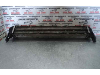 Интеркулер Skoda Rapid (NH)