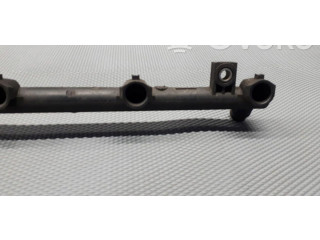 Топливная рампа Renault Clio I