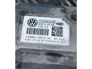 Řídící jednotka 03C906024, 6160147104 Seat Altea 2009