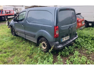 Řídící jednotka 194329, 194329 Peugeot Partner 2009