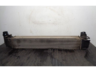 Интеркулер  8200880552B, M144144E   Dacia Duster 