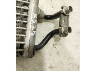 Vstřikovač 7P0317019A, R525 Porsche Cayenne (92A) MCG.EA