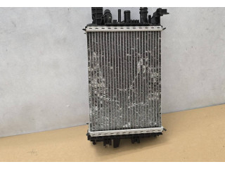 Интеркулер 214106421R, LE958001 Dacia Duster II