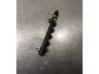 Топливная рампа 96868901, 1202100852   Chevrolet Orlando   для двигателя Z20d1