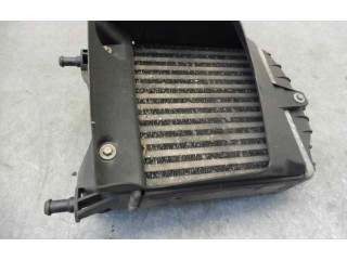 Интеркулер Lancia Ypsilon