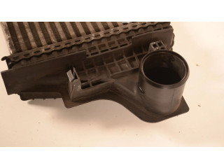 Интеркулер A2515000000 Mercedes-Benz R W251