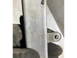 Комплект форсунок 175204021R    Renault Clio V   