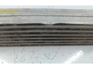 Интеркулер  866450000, AMASSADOFOTOS   Fiat Grande Punto 