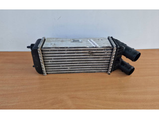 Интеркулер  9684311680, 0384N7   Citroen C3 