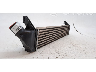 Интеркулер 8200409045 Dacia Logan I