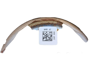 Подушка безопасности водителя HS7378043B13, HS7378043B13AJ3ZHE Ford Fusion II