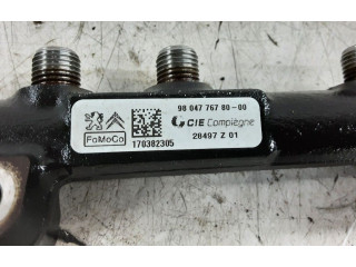 Топливная рампа 980477678000, 980477678000 Ford Ecosport для двигателя XVJD