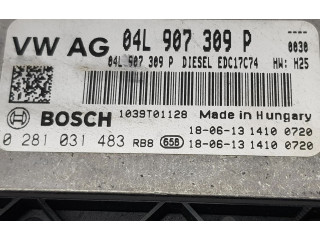 Řídící jednotka 04L907309P, 04L907309P   Volkswagen Tiguan 2018