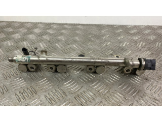 Vstřikovací lišta TA1H339D1209 Hyundai Santa Fe pro benzínový motor 2.4 GK4J