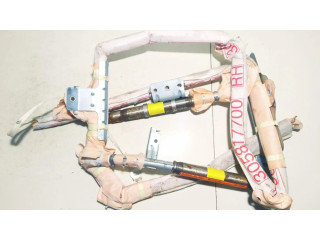 Боковая подушка безопасности 305817700   Nissan Pathfinder R51